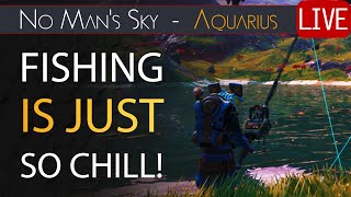 Testing My Speedy Efficiency Run P2  Aquarius Expedition  No Mans Sky Worlds Update Live [upl. by Novyaj]