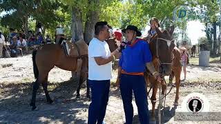 Festival Nacional del Caballo 2024 San Rafael Mendoza [upl. by Niamart341]