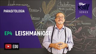 Leishmaniose Parasitologia  EP 4  Biokrill Series [upl. by Reeta]