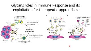 Cancer Glycans role in Immunosuppression and Therapeutic Approaches Code 467 [upl. by Korfonta]