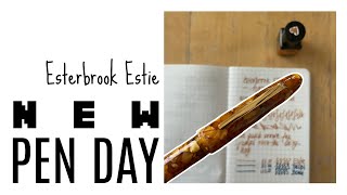 Is the Esterbrook Estie Flex Fountain Pen Nib Any Good [upl. by Marius533]