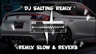 Dj salting  dj salting remix slowed reverb  tiktok viral enak [upl. by Las]