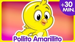 POLLITO AMARILLITO  Compilado de Clips 30 min  Canciones infantiles de la Gallina Pintadita [upl. by Aihsiym149]