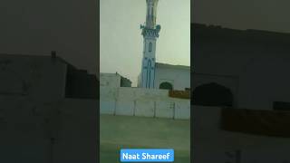 Naat Shareef kids love live explore nature relaxingquran quranrecitation duet [upl. by Ueik183]