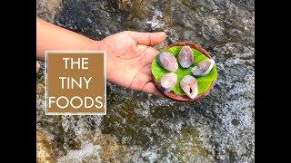 E21  Tiny Fish Fry Recipe  The Tiny Foods [upl. by Rhines303]