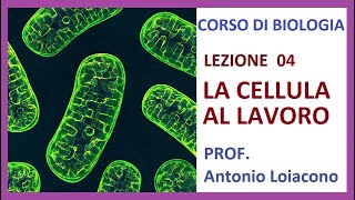 CORSO DI BIOLOGIA  Lezione 04  La cellula a lavoro [upl. by Noskcaj]