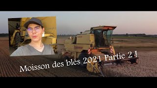 Partie 2 Moisson des blés 2021  New Holland Clayson 8050 [upl. by Angell63]