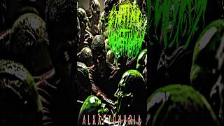 ALKAPTONURIA PROMO deathmetal deathgrind slammingbrutaldeathmetal goregrind metal band studio [upl. by Sucam]