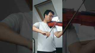 JS Bach Partita No2 for Solo Violin quotChacconaquot [upl. by Eenrahc]