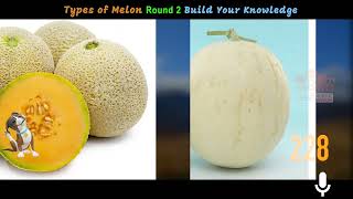 SPOKEN ENGLISH VOCABULARY HINDI BANGLA TELUGU TAMIL URDU KANNADA MALAYALAM TYPE OF MELON FRUITS 2024 [upl. by Chally]