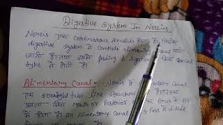 Bsc 1year zoology higher nonchordata digestive system of nereis [upl. by Oisangi21]