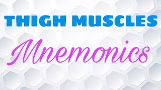 Mnemonics for thigh muscle anatomy [upl. by Ursula255]