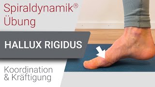 Spiraldynamik® Übung Hallux Rigidus  Koordination amp Kräftigung [upl. by Lowson]