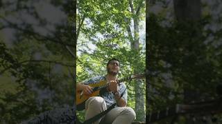 Mt Joy in the perfect weather day51 astrovan mtjoy acoustic cover forest singer music [upl. by Guenna]