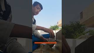 Natural water filter experiment trending ytshorts ytshortsindia viralshort ManikantaVusakoila [upl. by Sidwel479]