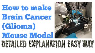 Xenograft Glioma Mouse Model Brain Cancer Model  Research Technique  Dr Abi Greek [upl. by Anyrb61]