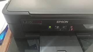 Cara RESET PRINTER EPSON L220  5 langkah Cepat untuk Epson Lseries [upl. by Euqirat]