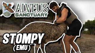 Hasan amp Dean HUG STOMPY  Alveus Sanctuary [upl. by Carl]