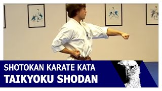 Taikyoku Shodan Shotokan Karate Kata [upl. by Aerbma680]