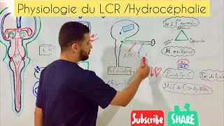 Physiologie du LCR Hydrocéphalie HIC [upl. by Mattland]