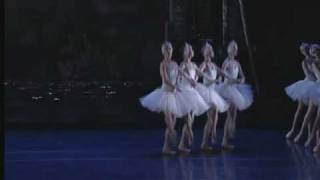 Swan Lake Act II  Cygnets Dance [upl. by Merceer]