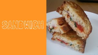 Sandwich  Panino gustoso Sandwich recipe  Grilled Cheese Sandwich Recipe [upl. by Taylor]