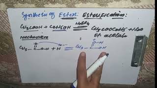 Esterification Synthesis of Ester Mechanism 2nd year chemistry unit 13 mzkchemistry [upl. by Koa689]