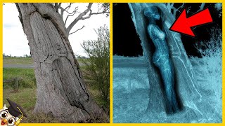 10 Unglaubliche Archäologische Entdeckungen [upl. by Currie498]