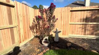 Cedar Wood Privacy Fence with Rot Board 20240919 [upl. by Hephzibah92]