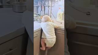 Baby climbing [upl. by Adnolay]