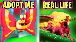 ADOPT ME GARDEN PETS VS REAL LIFE [upl. by Acinorahs]