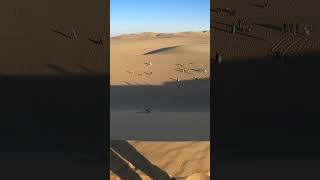 Huacachina Peru  Dune Buggy amp Sand Boarding [upl. by Yrelbmik]