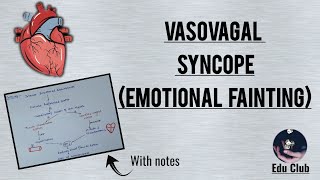 Vasovagal syncope  Emotional fainting  Cardiovascular physiology [upl. by Edwina827]