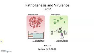 Pathogenesis and Virulence Virulence Factors [upl. by Soulier]