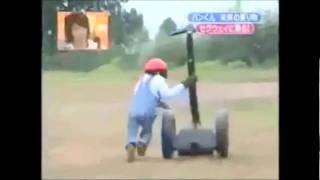 Chimpanzee riding on a segway 10 minutes [upl. by Ilime]