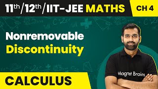 Nonremovable Discontinuity  Continuity and Differentiability  Class 1112IITJEE Maths [upl. by Niran806]