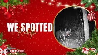 To our surprise Rudolph has been spotted [upl. by Rhea]