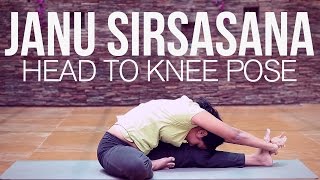 How to do Janu Sirsasana Head to Knee Pose [upl. by Sivatnod]