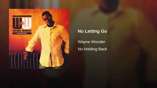 Wayne Wonder  No Letting Go Lemi Vice amp Action Jackson Remix [upl. by Gerhan]