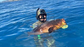 PESCA SUB Catture di fine estate by Salvimar Spearfishing SalvimarOfficial [upl. by Humpage37]