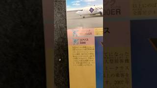 本の歴史を感じる飛行機 a380 スカイマーク 飛行機100点 [upl. by Enytsirhc318]