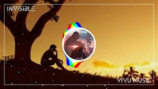 Invisible song by VIVU Music  Julius Dreisig NCS  ncs ncsmusic ncsrelease ncssongs [upl. by Myer299]