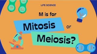 Mitosis Vs MeosisMitosis amp Meosis DifferencesCell cycleScience GkBiology LecturesCell Division [upl. by Forta542]