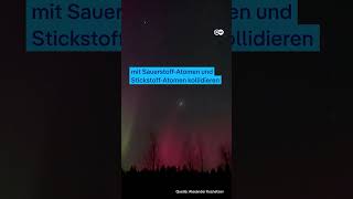 Naturschauspiel Polarlichter über Lappland  DW Nachrichten [upl. by Nuhsyar452]