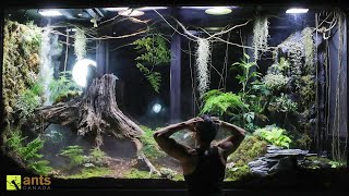 A Mantis Mating Disaster amp Crisis in My Giant Rainforest Vivarium [upl. by Yecaw201]