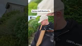 Zarbex bellt Hund an twitchdeutschland twitchclips lustigeclips twitch funny zarbex [upl. by Raymond874]