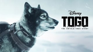 Togo 2019 Movie  Willem Dafoe Ericson Core  Walt Disney Studios Togo Movie Full Facts Review HD [upl. by Reinold]