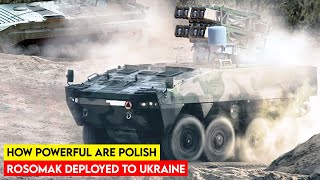 How Powerful are Polish Rosomak APCs Deployed to Ukraine [upl. by Ventura]