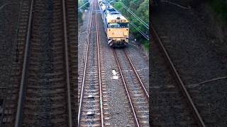 Pacific National  Manildra train rolls down towards Jannali trains australia trainspotting [upl. by Castra]