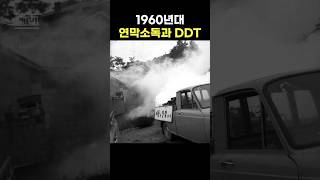 1960년대 그시절 추억의 연막소독 작업과 DDT추억방역1960s연기소독차DDT유해성환경문제사용금지뇌염말라리아전염병예방여름철모기 [upl. by Lidah]